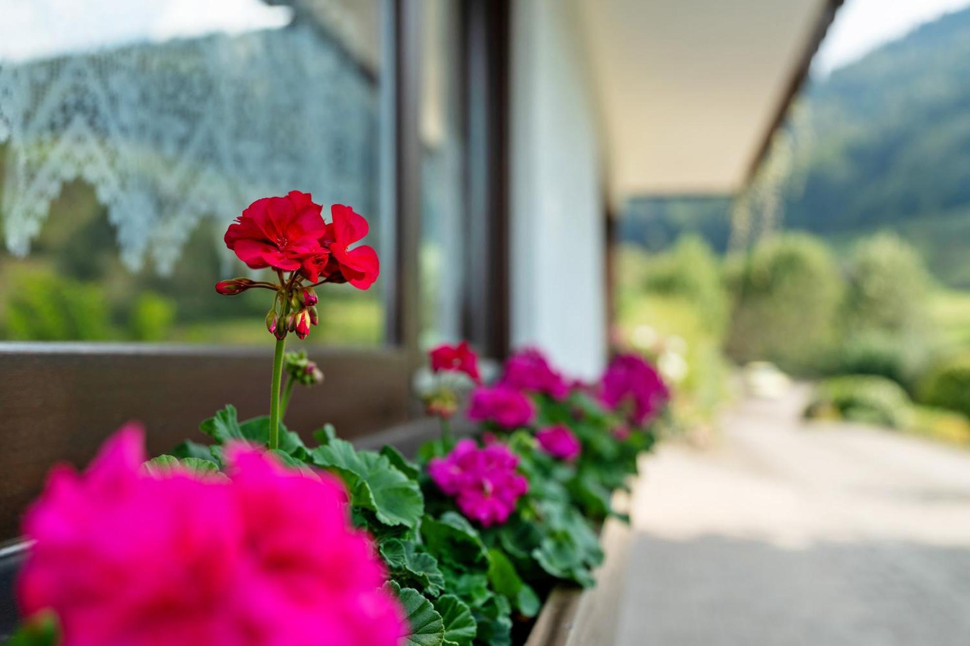 Ferienwohnung Haus Schindler Ottenhöfen im Schwarzwald Exterior foto